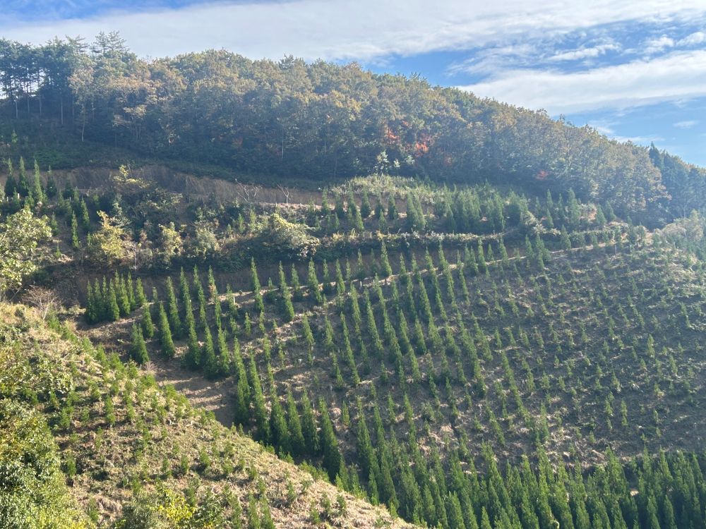 杉山