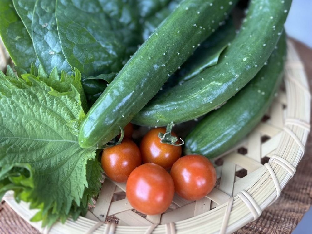 家庭菜園の野菜