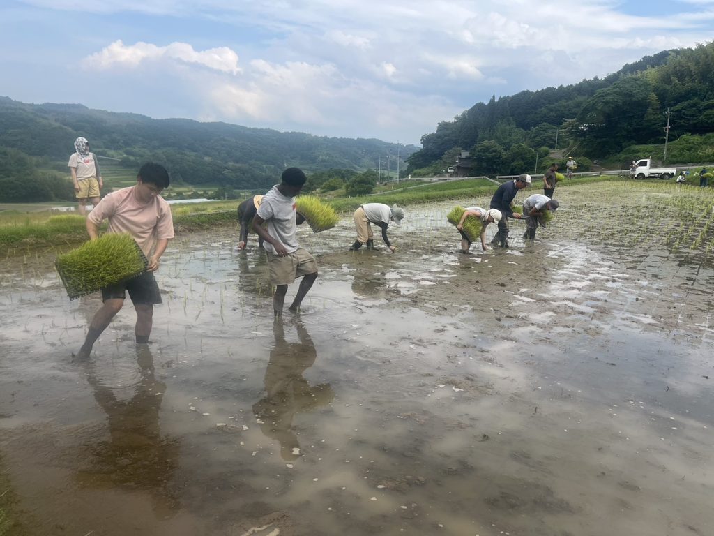 手植えin 庄内